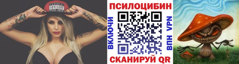 Галлюциногенные грибы Psilocybine cubensis  Харовск 